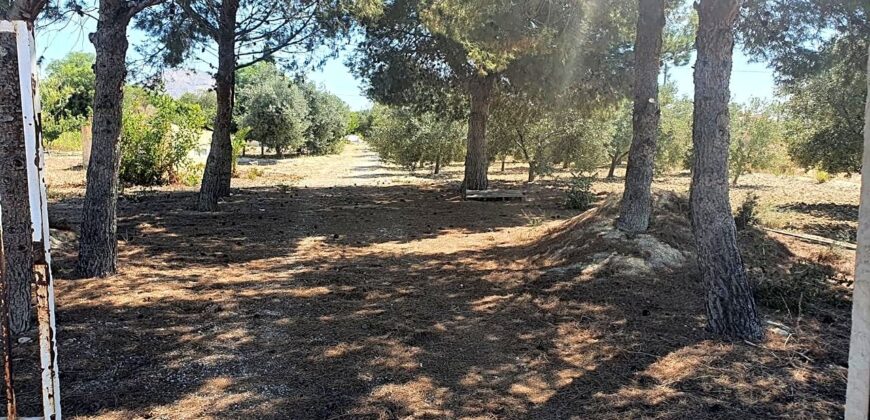 CASA DE CAMPO BUEN ACCESO TODO PLANTADO CON VISTAS