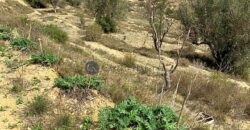 CASA A REFORMAR MUY CERCA DEL PLANTANO DE RELLEU