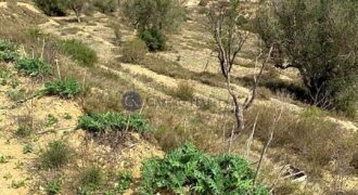 CASA A REFORMAR MUY CERCA DEL PLANTANO DE RELLEU