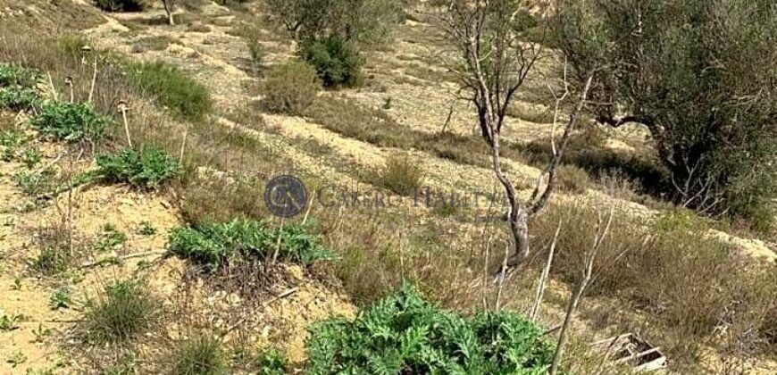 CASA A REFORMAR MUY CERCA DEL PLANTANO DE RELLEU