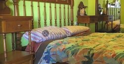 CHALET INDEPENDIENTE CON GRAN PISCINA Y CASA INVITADOS