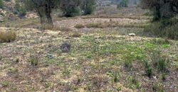 CASA A REFORMAR MUY CERCA DEL PLANTANO DE RELLEU