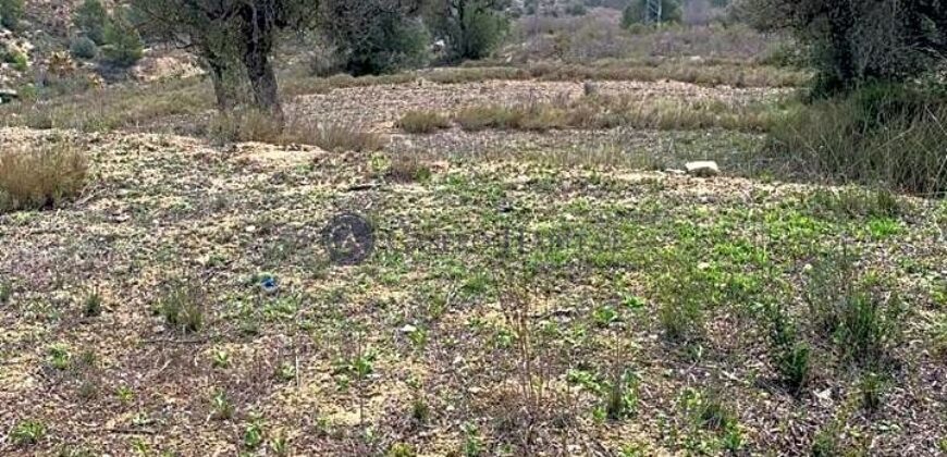 CASA A REFORMAR MUY CERCA DEL PLANTANO DE RELLEU