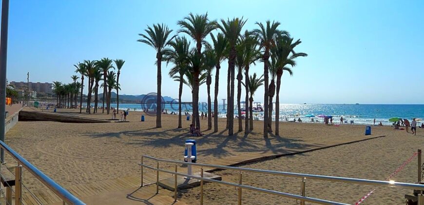 TRES APARTAMENTOS A ESCASOS 100 MTS. DE LA PLAYA CENTRO