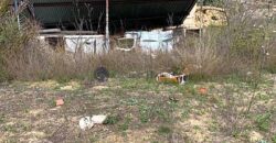 CASA A REFORMAR MUY CERCA DEL PLANTANO DE RELLEU
